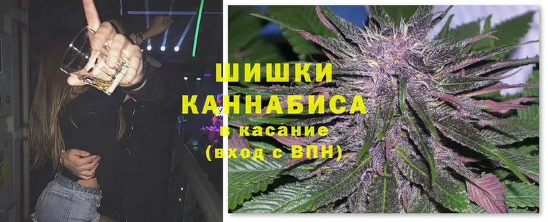 Каннабис ГИДРОПОН  Алатырь 